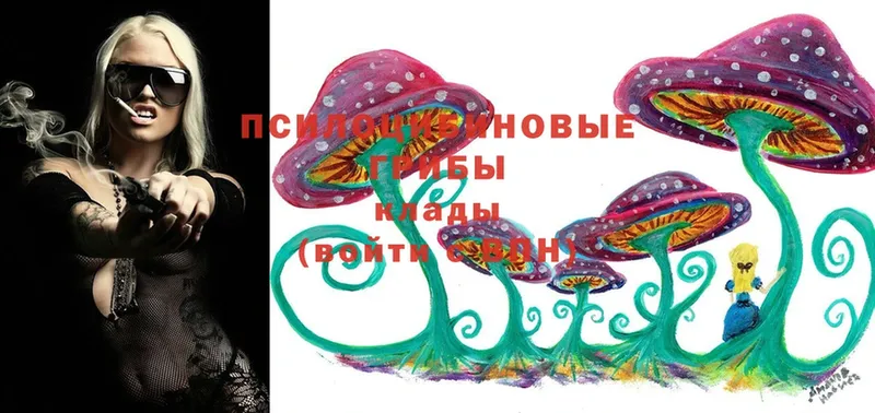 Галлюциногенные грибы Psilocybine cubensis  сайты даркнета как зайти  Серпухов 